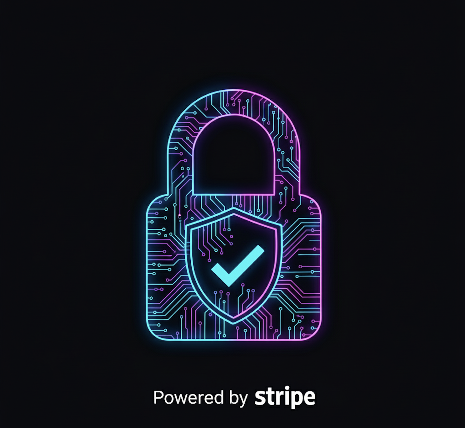 Secure Payment Illustration